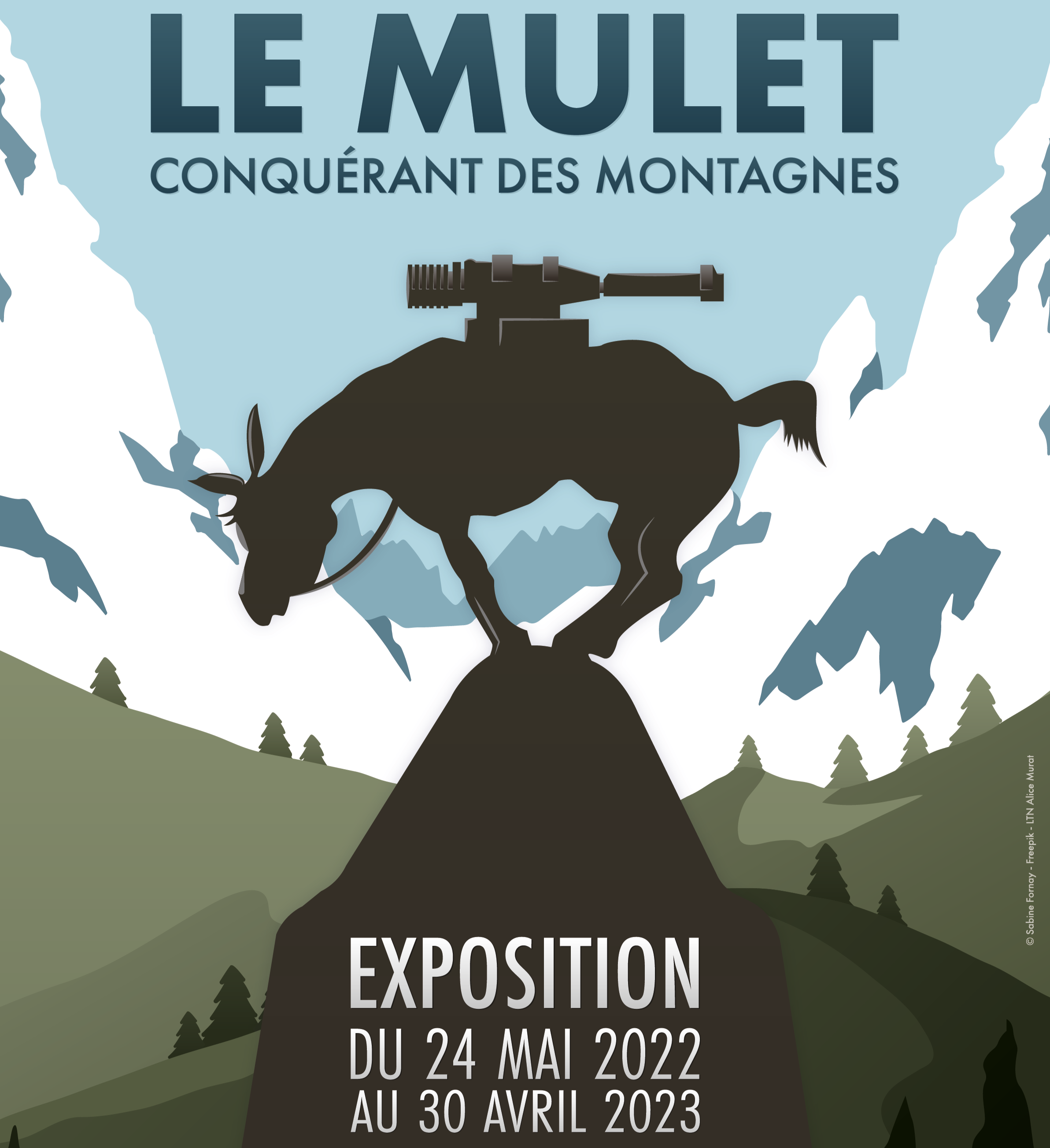 Le mulet : conquérant des montagnes