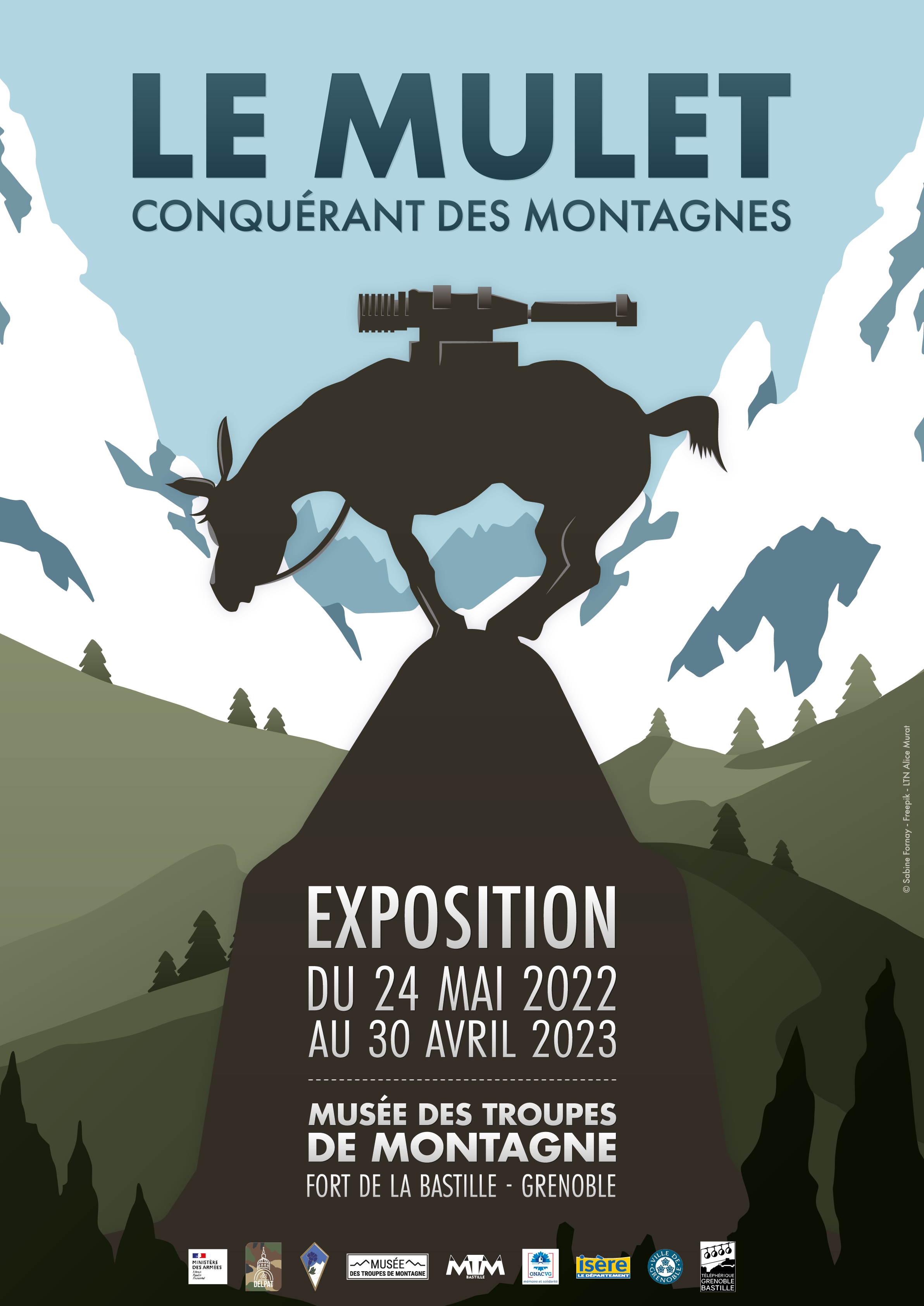 Le mulet : conquérant des montagnes